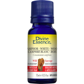 Divine Essence - Camphor - White Wood (Wild) (15ml)