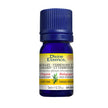 Divine Essence - Rosemary - Verbenone Type (Organic) (5ml)