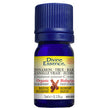 Divine Essence - Cinnamon - True Bark (Organic) (5ml)