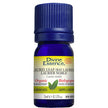 Divine Essence - Laurel Leaf (Bay Laurel) (Org) (5ml)