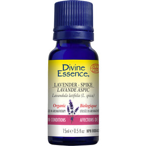 Divine Essence - Lavender - Spike (Organic) (15ml)