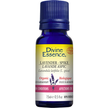 Divine Essence - Lavender - Spike (Organic) (15ml)