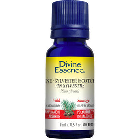 Divine Essence - Pine Sylvestre (Scotch) (Wild) (15ml)