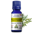 Divine Essence - Breathe Prana (Organic) (15ml)