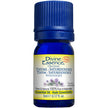 Divine Essence - Thyme - Satureioides (Organic) (5ml)