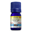 Divine Essence - Sandalwood (Organic) (5ml)