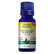 Divine Essence - Pine - Ocean (Sea) (Organic) (15ml)