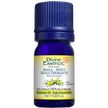 Divine Essence - Inula Sweet (Organic) (1ml)