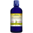 Divine Essence - Eucalyptus Radiata (Organic) (100ml)