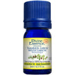Divine Essence - Larch Tamarack (Organic) (5ml)