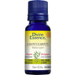 Divine Essence - Cajuput (Cajeput) (Organic) (15ml)