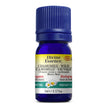 Divine Essence - Chamomile - Wild (Morocco) (Org) (5ml)
