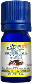Divine Essence - Spikenard (Nard) (Organic) (5ml)