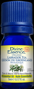 Divine Essence - Labrador Tea Organic (5ml)