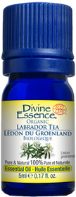Divine Essence - Labrador Tea Organic (5ml)