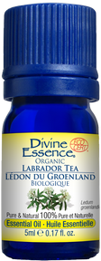 Divine Essence - Labrador Tea Organic (5ml)