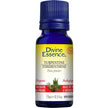 Divine Essence - Turpentine (Organic) (15ml)