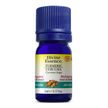 Divine Essence - Turmeric (Organic) (5ml)