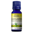 Divine Essence - Eucalyptus - Peppermint (Conv.) (15ml)