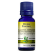 Divine Essence - Eucalyptus - Peppermint (Conv.) (15ml)
