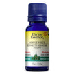 Divine Essence - Spruce - White (Organic) (15ml)