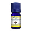 Divine Essence - Frankincense Neglecta (Wild) (5ml)