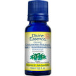 Divine Essence - Cinnamosma Fragrans (Saro) (Conv.) (15ml)