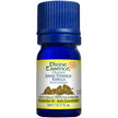 Divine Essence - Ammi Visnaga (Khella) (Organic) (5ml)