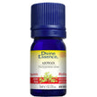 Divine Essence - Ajowan (Organic) (5ml)