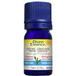 Divine Essence - Thyme Linalool (Organic) (5ml)