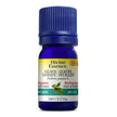 Divine Essence - Guava - Leaves (Organic) (5ml)