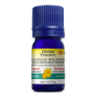 Divine Essence - Helichrysum -Bracteiferum (Organic) (5ml)