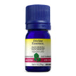 Divine Essence - Patchouly (Conventional) (5ml)