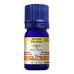 Divine Essence - Garlic (Organic) (5ml)