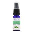 Divine Essence - Fresh Breath - Peppermint (15ml)