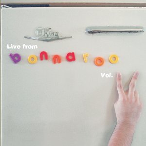 V2 2002 Bonnaroo Music Festiv