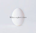 Wilco / A ghost is born - CD