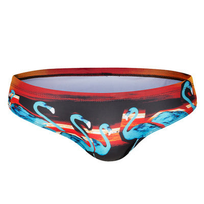 Men's Brazilian Swim Trunks | Low-Rise Beach Shorts Canada & USA