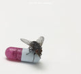 Red Hot Chili Peppers / I'm with You - CD