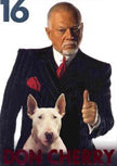 Don Cherry 16 - DVD (Used)