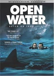 Open Water - DVD (Used)