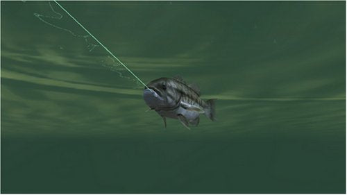 Rapala Tournament Fishing