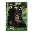 Nova: Last Great Ape [Import]