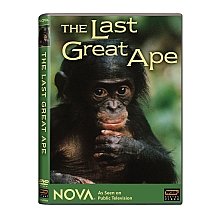 Nova: Last Great Ape [Import]
