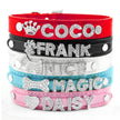 Personalized Rhinestone Dog Collar