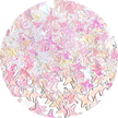 Rainbow 4 pointed star Glitter - Transparent