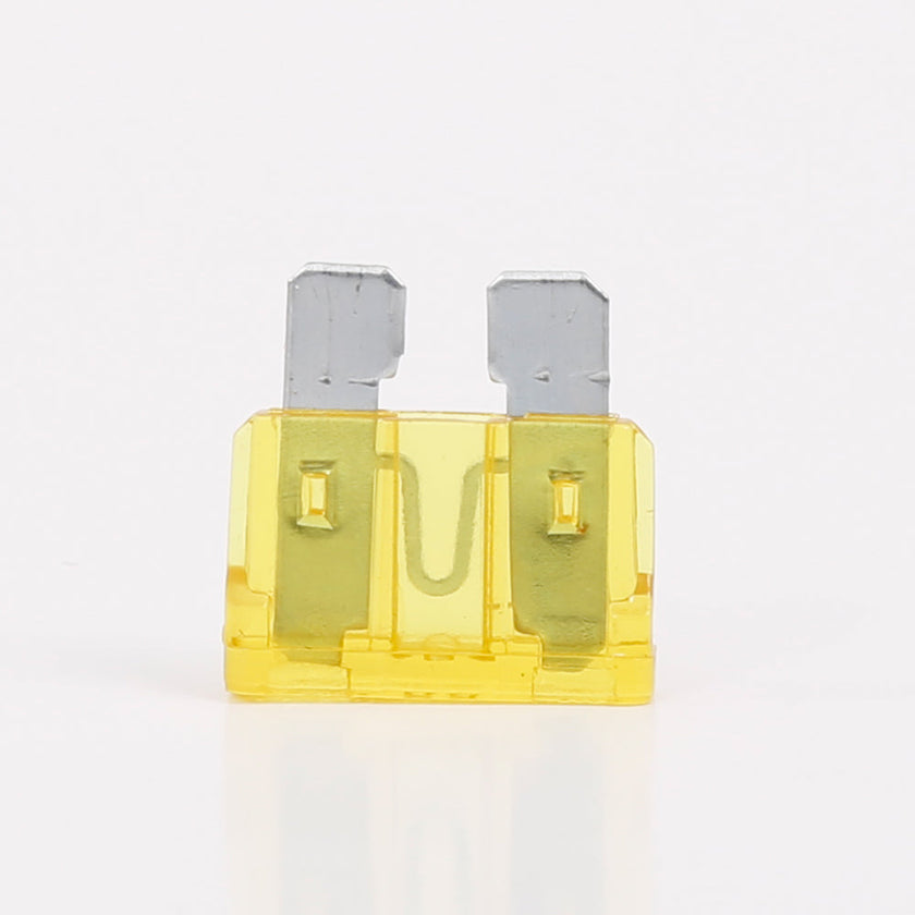 Fuse, 12V (20A)