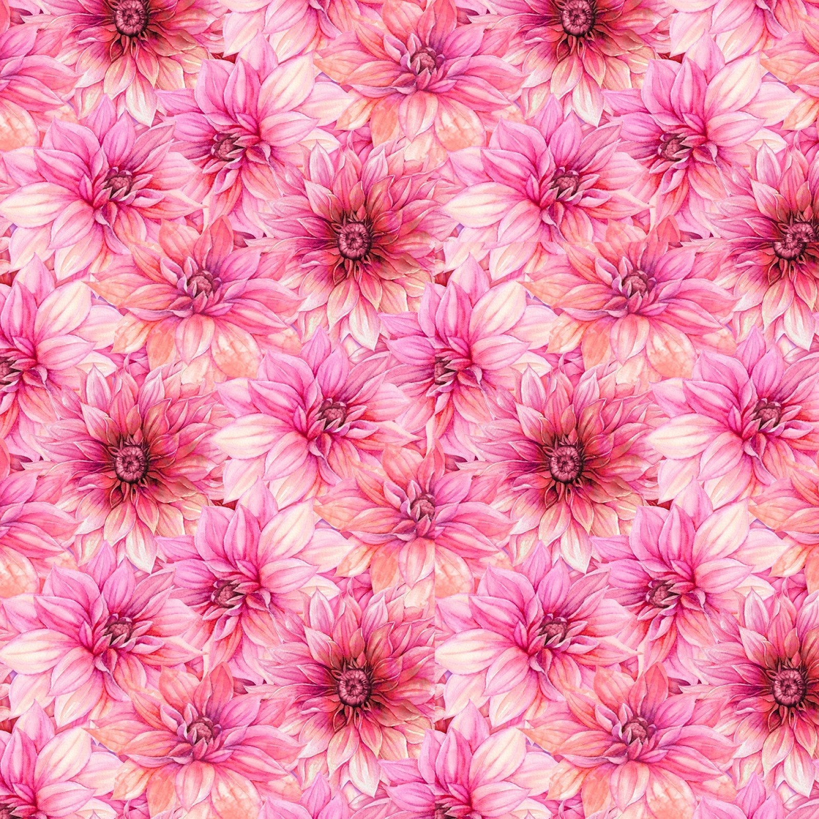 Cador - Nancy Mink - In Bloom - Pink
