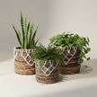 Banana Leaf & Macrame Apex Planter Basket