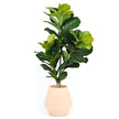 Walt - Peach Bamboo Floor Planter